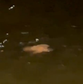 Captura de tela 2024-01-09 161159