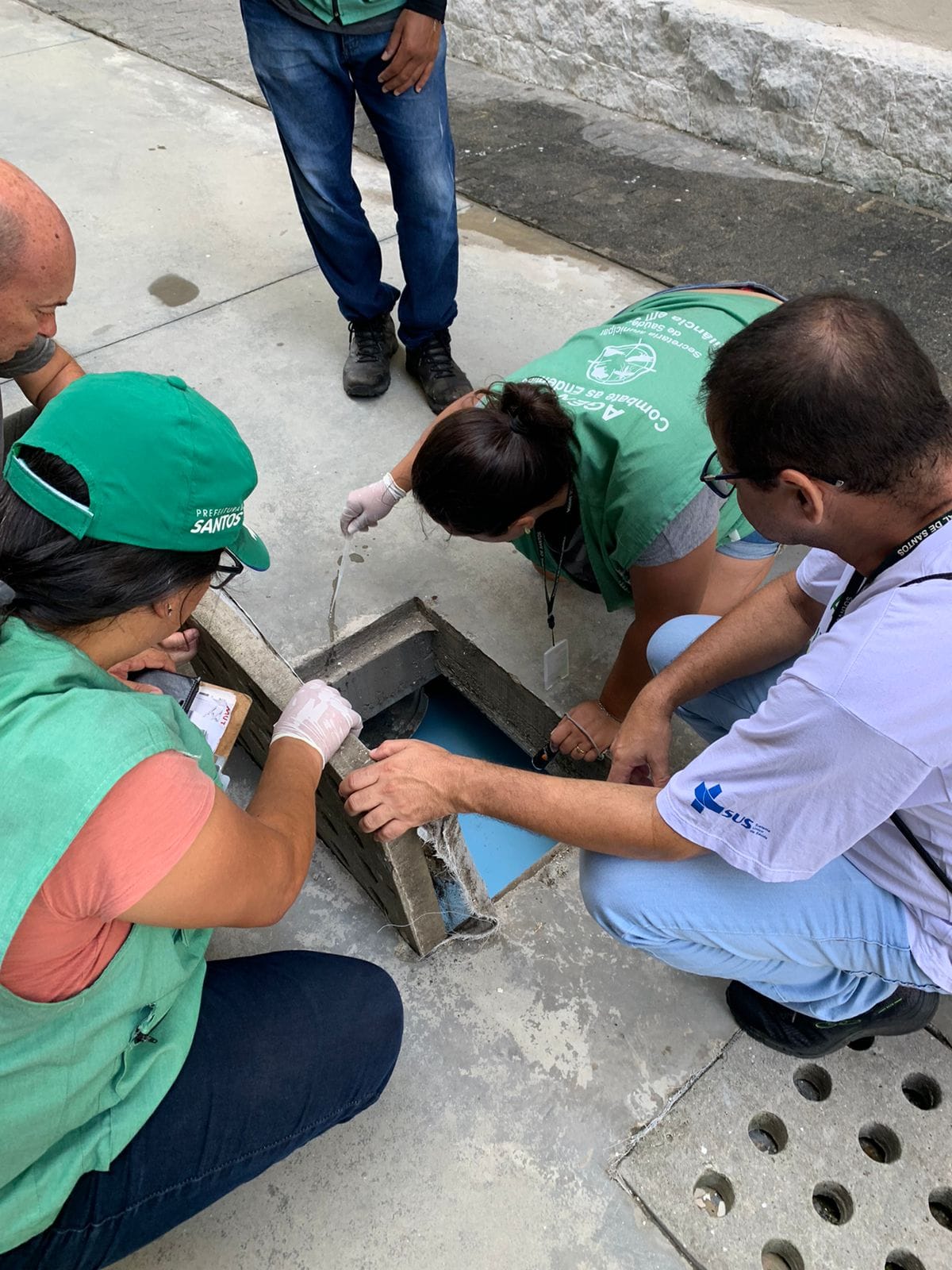 Mutirão especial de verão elimina 75 focos com larvas de mosquito em bairro de Santos (3)