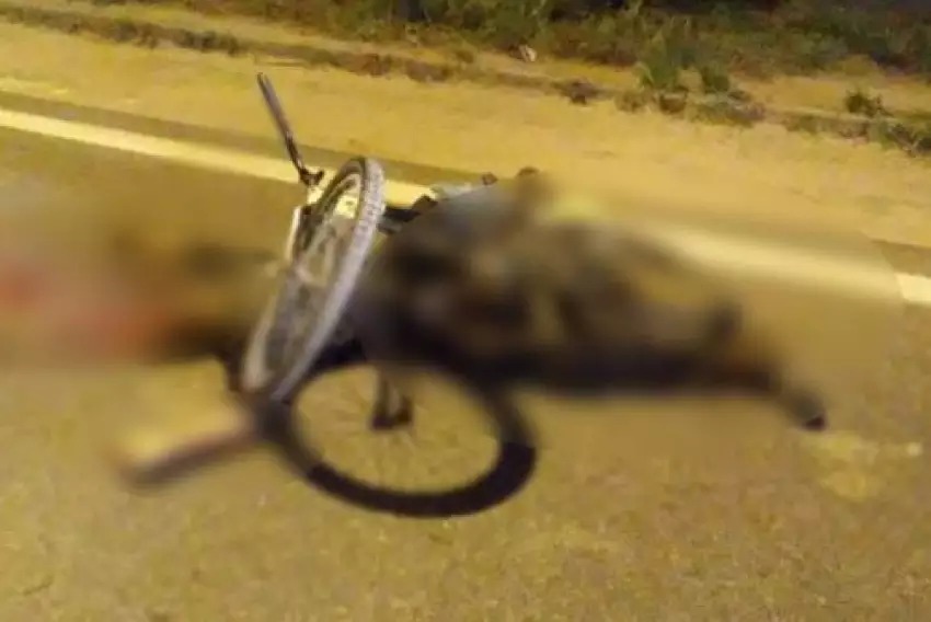 WhatsApp Image 2024-01-08 at 08.56.45