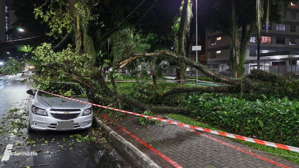 Árvore cai em cima de carro em São José
