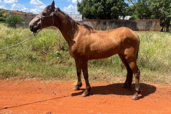 acb4b1de107c962fd0b423570b74f11d6da999f01703786334