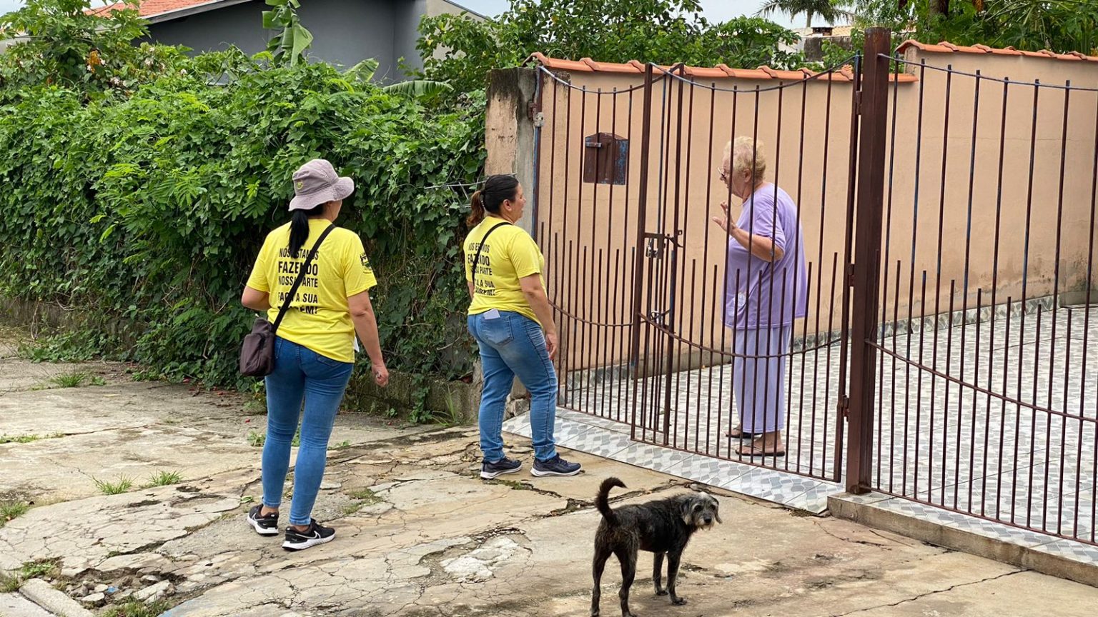 agentes dengue taubaté