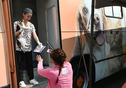 Campinas abre agenda para castração gratuita de 1.000 cães e gatos na região do Amarais
