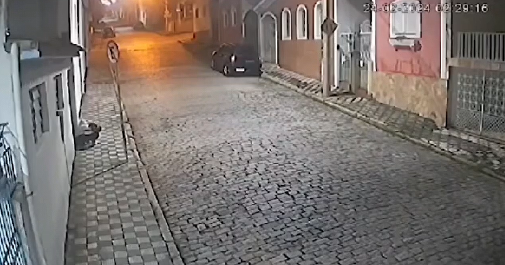 recém-nascido jacareí