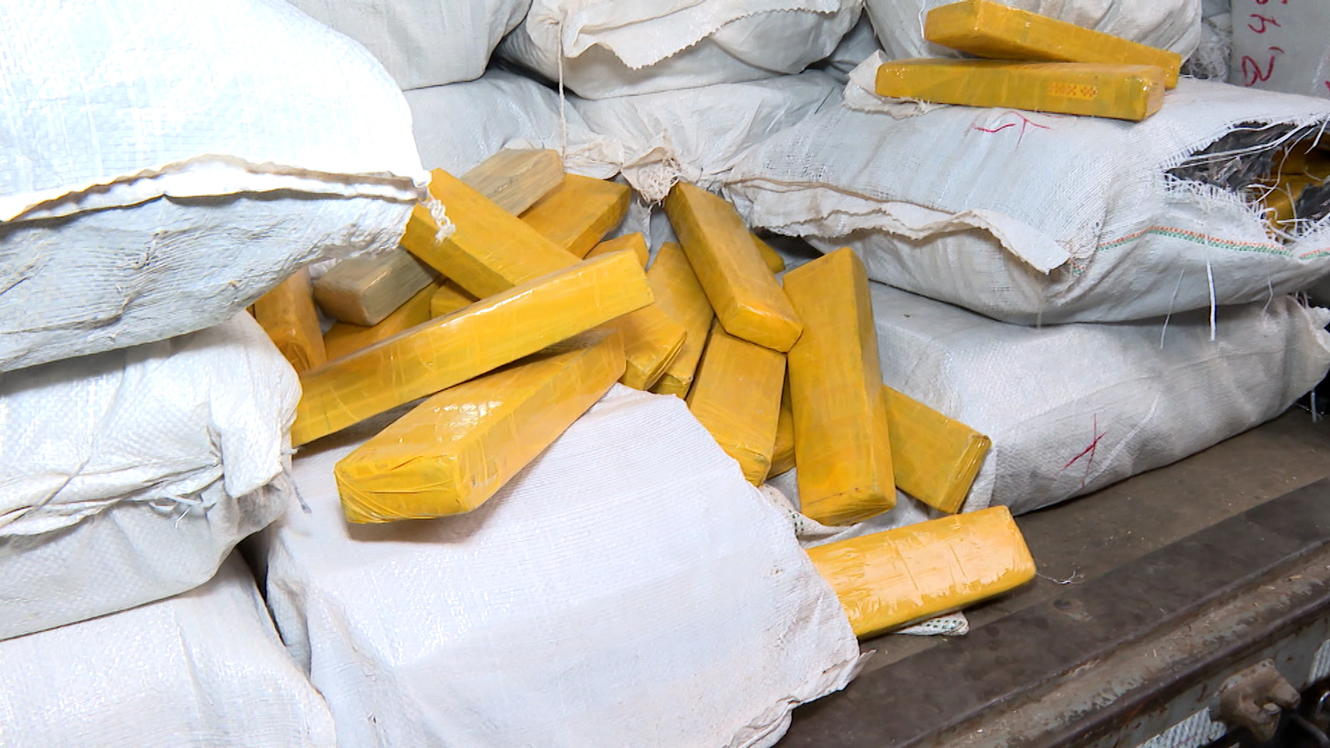 Denarc apreende mais de 4 toneladas de maconha em Sumaré