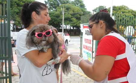 Prefeitura de Jacareí realiza vacinação antirrábica para cães e gatos neste sábado (3), no Parque Meia-Lua