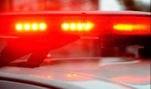 WhatsApp Image 2024-02-01 at 08.19.01