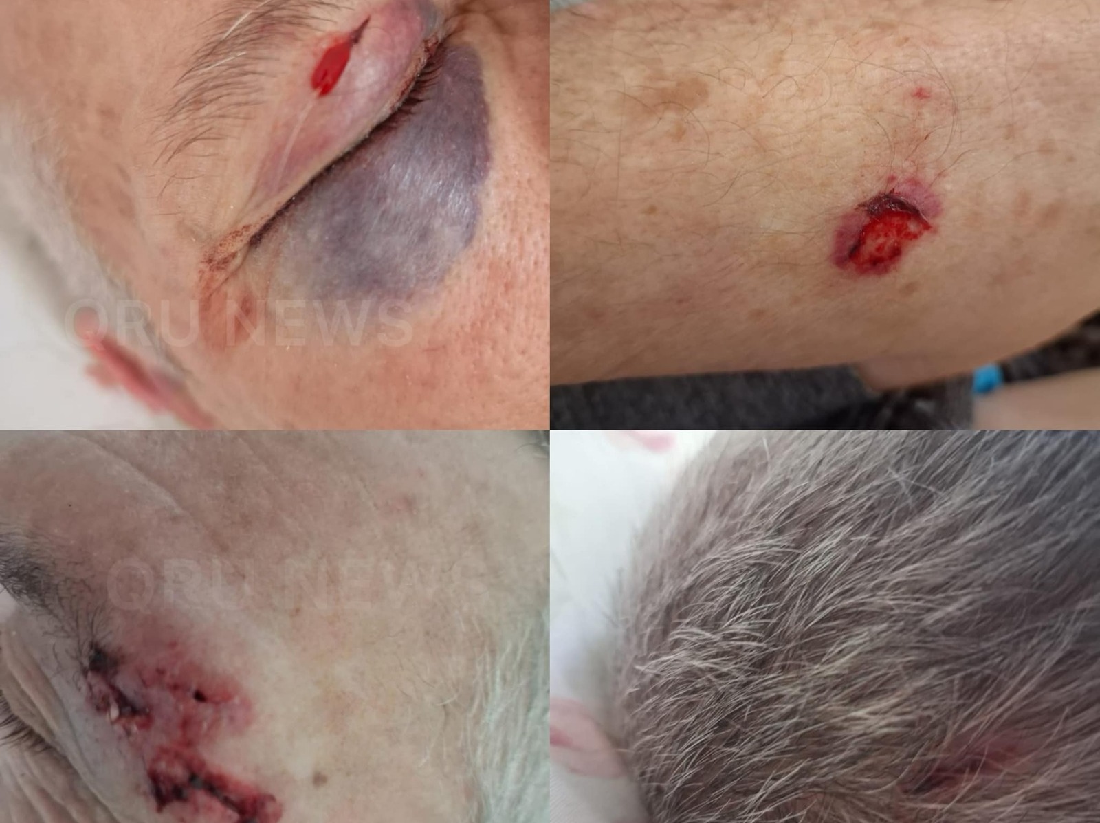 WhatsApp Image 2024-02-07 at 11.40.27