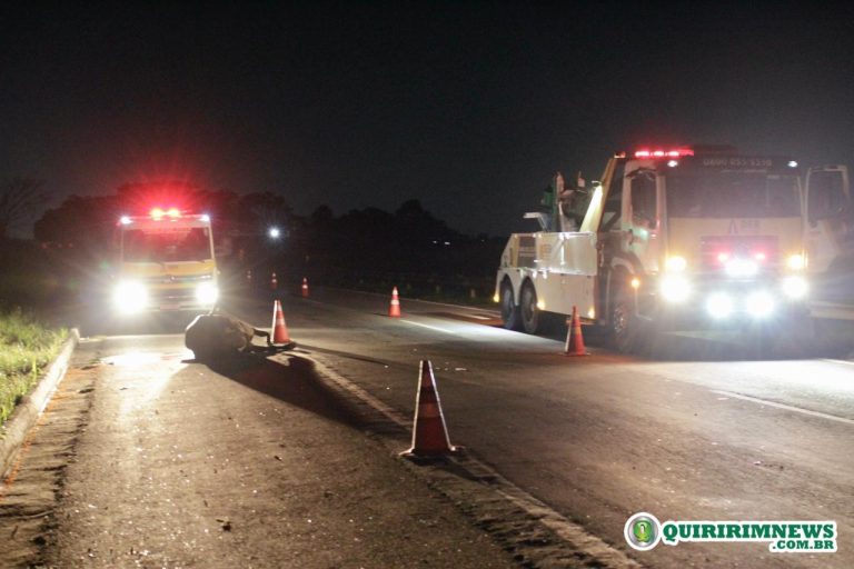 Carro capota após atropelar uma vaca no interior de SP