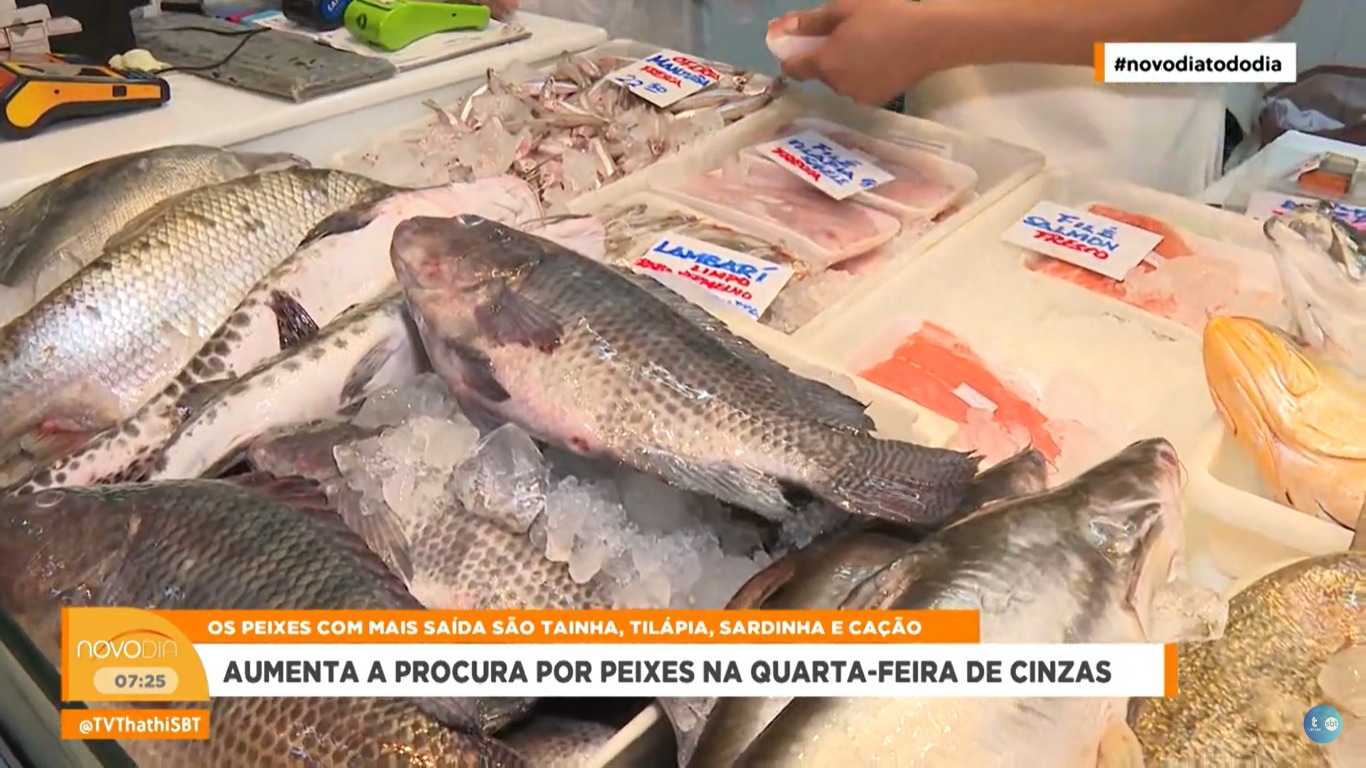 Quarta-feira de Cinzas aumenta procura por peixes no mercado Quarta-feira de Cinzas aumenta procura por peixes no mercado