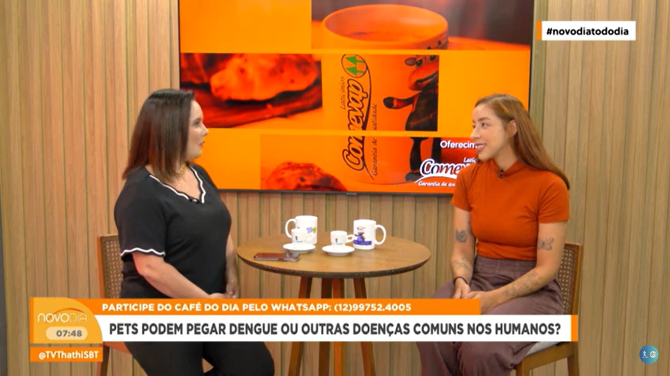 Aedes aegypti também pode transmitir doenças para os pets Aedes aegypti também pode transmitir doenças para os pets