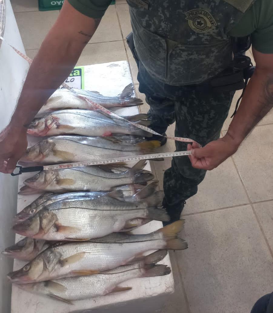 pesca ilegal caraguatatuba