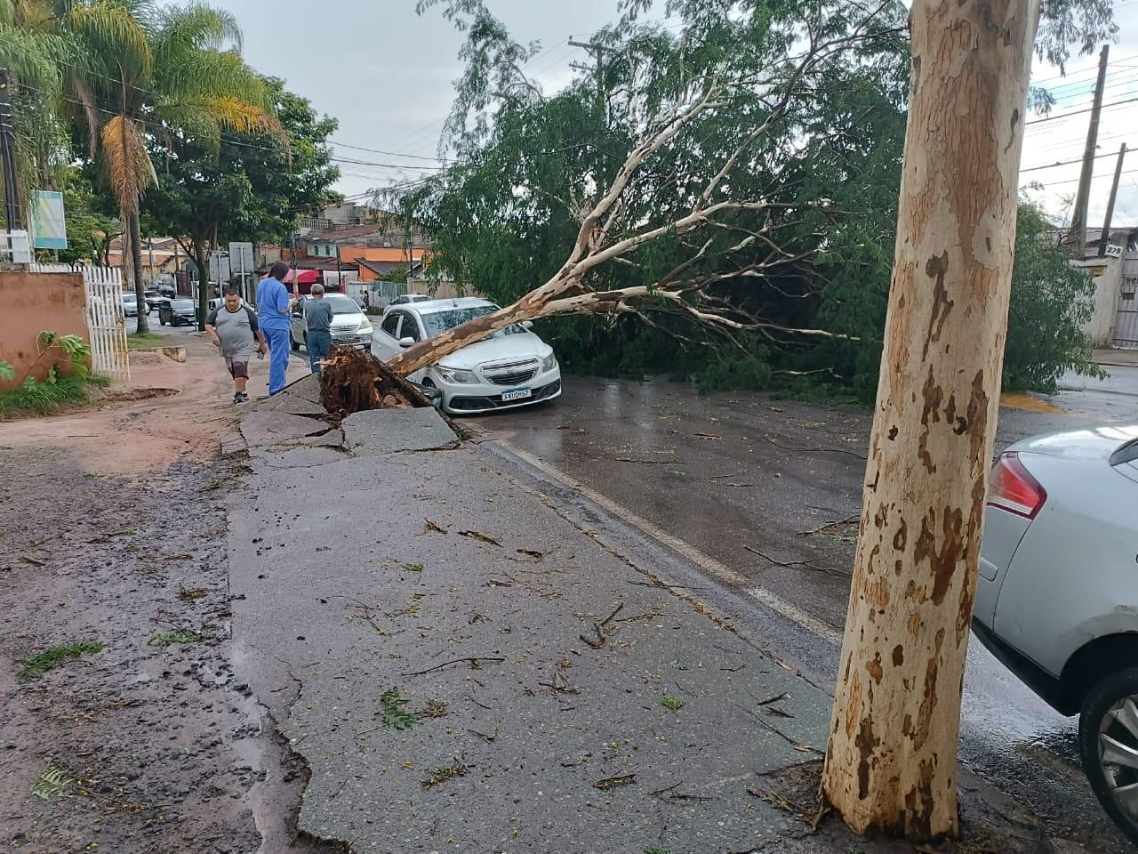 TEMPORAL CAUSA TRANSTORNOS EM SÃO JOSÉ DOS CAMPO