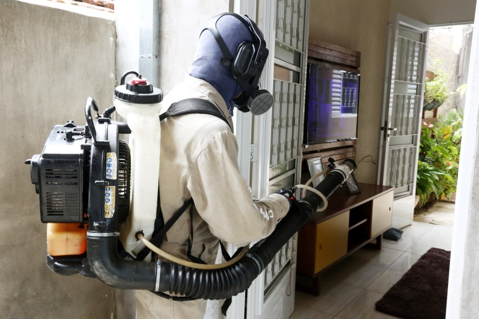 dengue em são josé