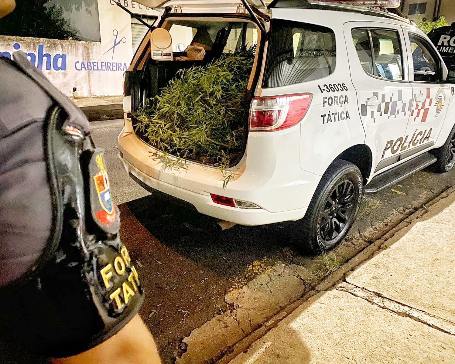 Pé de maconha de 5kg é apreendido pela Polícia Militar