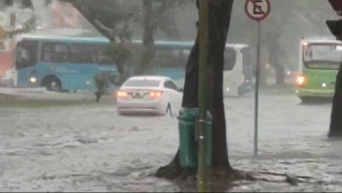 alagamentos e quedas de árvores em sjc alagamentos e quedas de árvores em sjc
