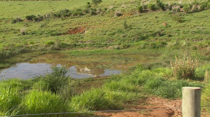 Corpo de mulher morta é encontrado dentro de lago; morte é um enigma