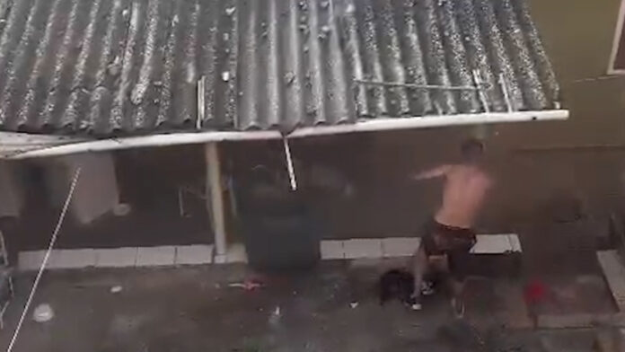 Homem é preso por agredir cachorra no interior de SP; veja Homem é preso por agredir cachorra no interior de SP; veja