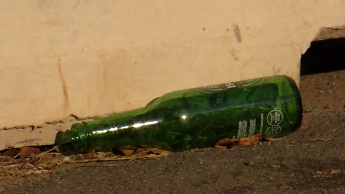 WhatsApp Image 2024-03-12 at 17.53.31