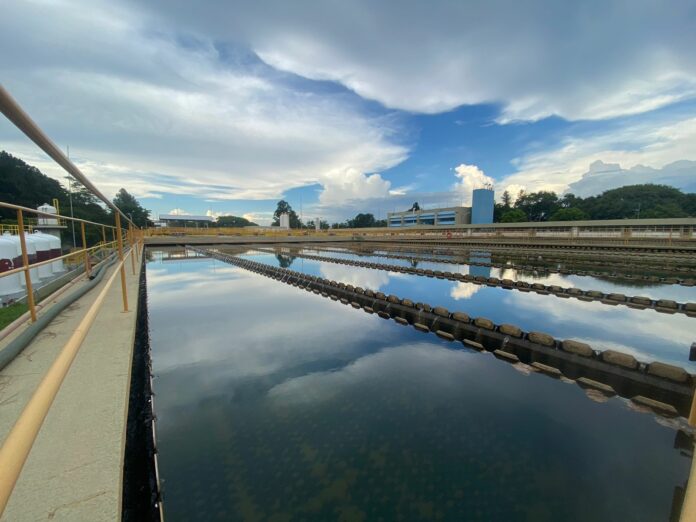 WhatsApp Image 2024-03-20 at 16.56.42