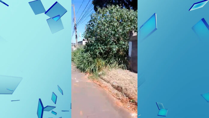 Área abandonada fica entre duas casas no Parque Gabriel, em Hortolândia. Área abandonada fica entre duas casas no Parque Gabriel, em Hortolândia.