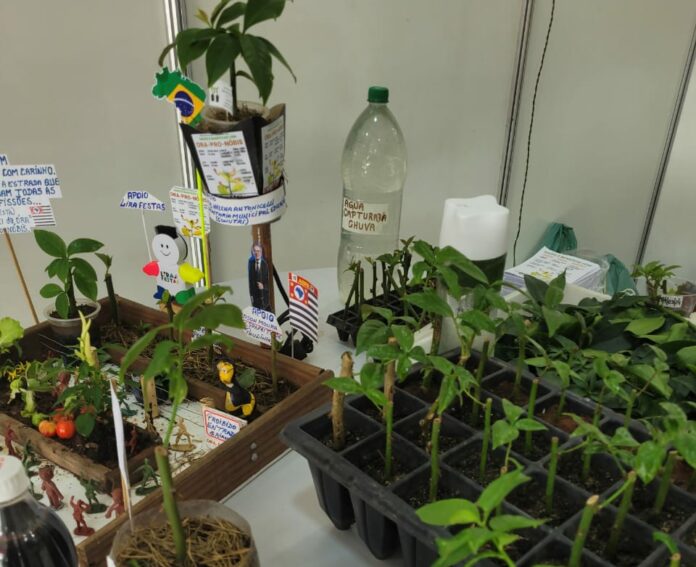 Programa Horta Escolar tem workshop com o tema Uma experiência Culinária com Ora-pro-nóbis”