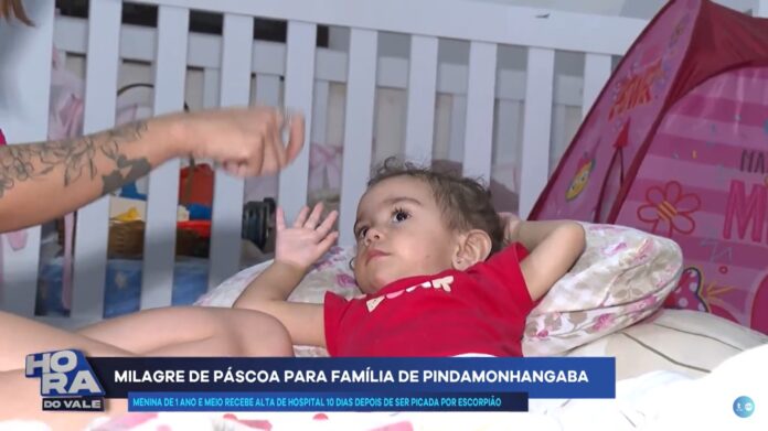 Bebê picada por escorpião recebe alta após duas semanas