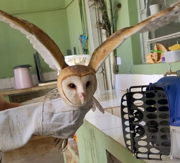 WhatsApp-Image-2024-04-09-at-14.35.18