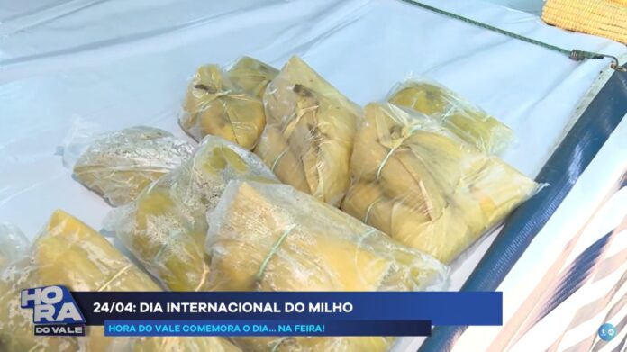 WhatsApp Image 2024-04-24 at 18.07.27 Dia do Milho: grão versátil é base para desenvolvimento financeiro