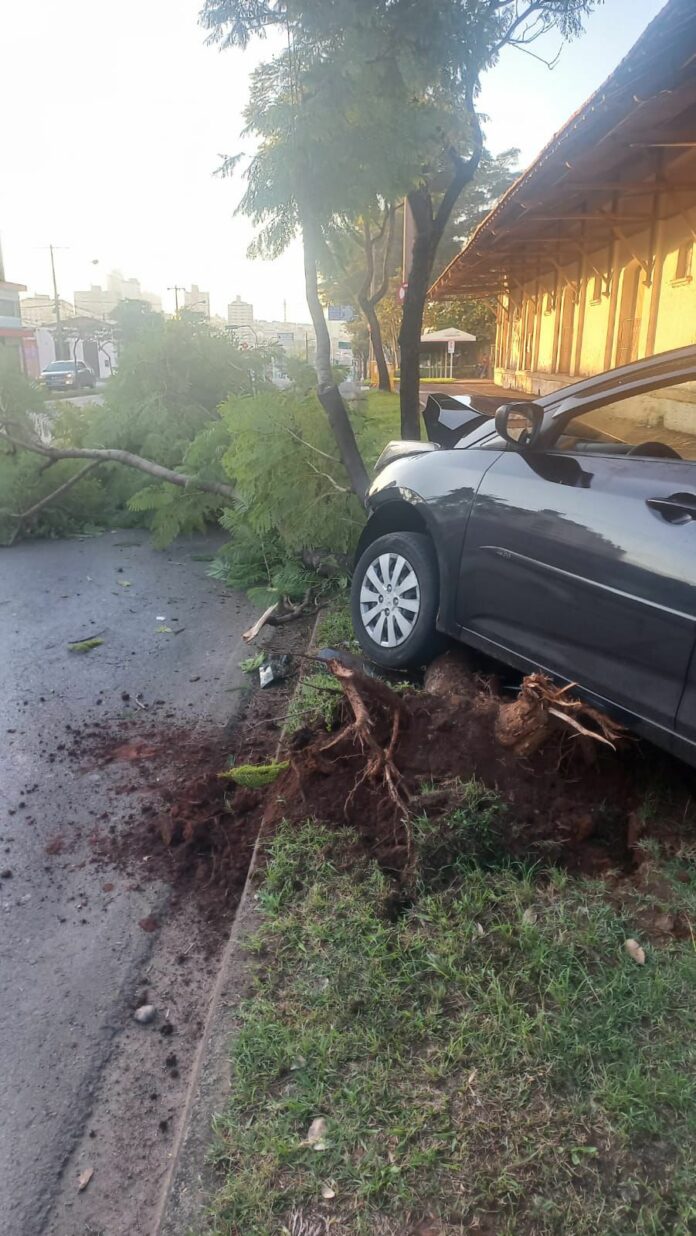 Acidente foi na Avenida Doutor de Moraes no Bairro Paulista, em Piracicaba.