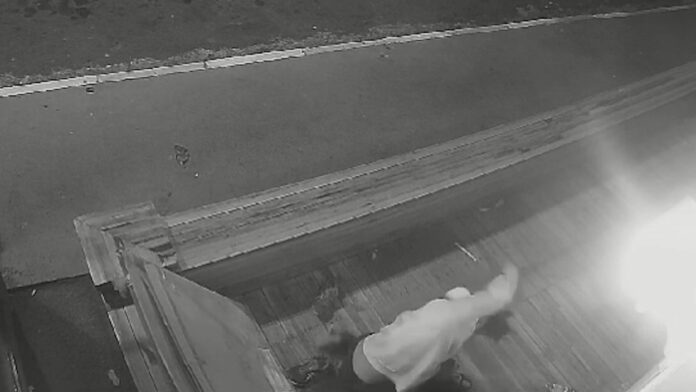 Nas imagens do circuito de segurança de um bar que fica no Bairro Nova Campinas em Campinas é possível ver o homem dando vários socos no animal. Nas imagens do circuito de segurança de um bar que fica no Bairro Nova Campinas em Campinas é possível ver o homem dando vários socos no animal.