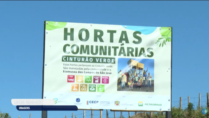 Hortas comunitárias transformam espaços em São José dos Campos