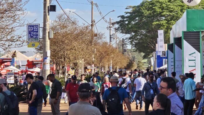 WhatsApp Image 2024-05-02 at 15.17.06