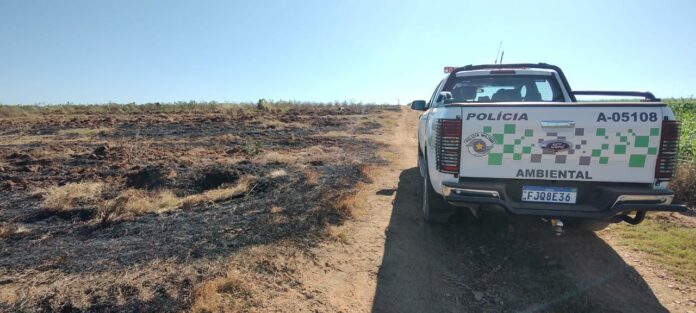 Polícia Ambiental realiza operação contra queimadas nas margens de rodovias