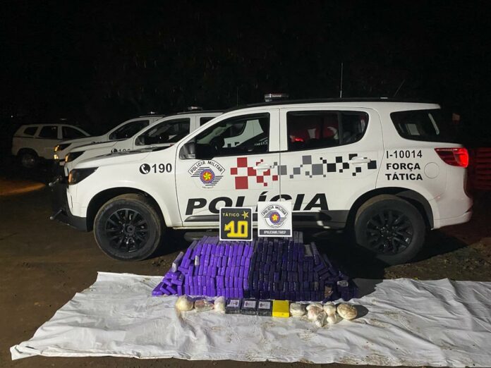 Policiais chegaram até um sítio na cidade de São Pedro depois de denúncia anônima: 3 foram presos. Policiais chegaram até um sítio na cidade de São Pedro depois de denúncia anônima: 3 foram presos.