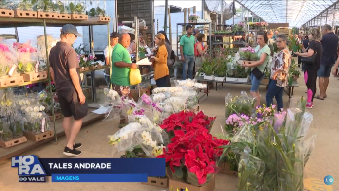 Flores para o dia das mães: Tradição que não sai de moda