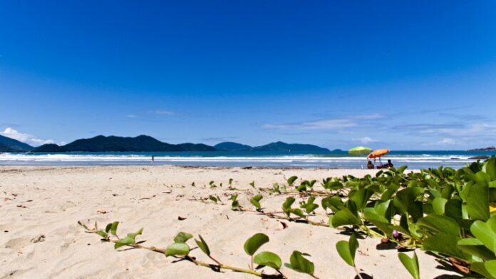 Praias-de-Ubatuba_Alexandre-Rodrigues-770x433 turista sp morre afogada ubatuba