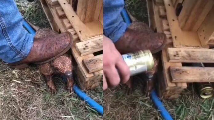 Foto: Rede social/Reprodução