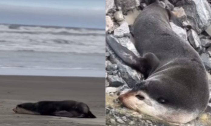 Design sem nome (60)