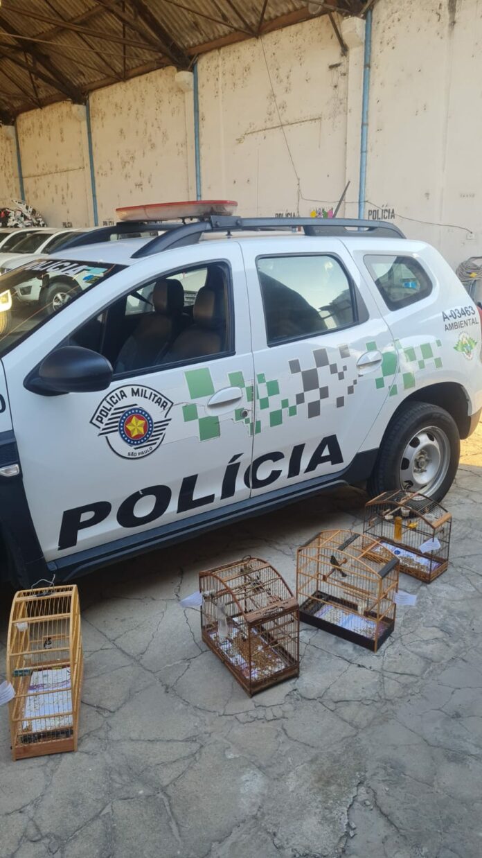 WhatsApp Image 2024-07-22 at 06.57.20 Sete aves são resgatadas de cativeiro irregular em Taubaté