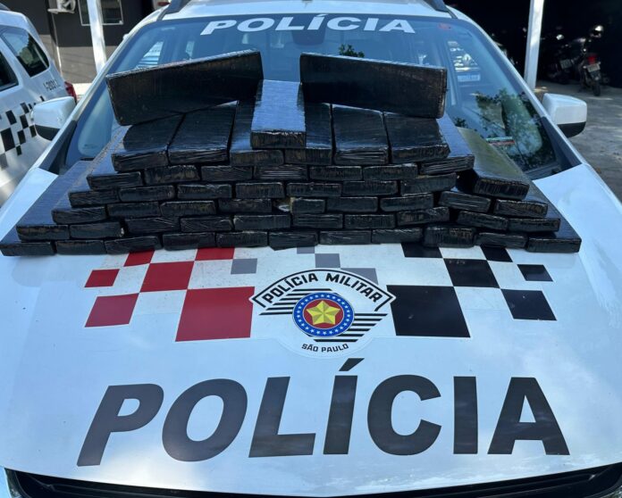 maconha em malas ubatuba maconha em malas ubatuba