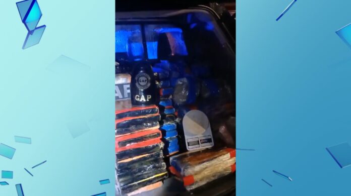 Operação foi realizada em conjunto com a Guarda Civil de Capivari: droga estava armazenada em uma casa na cidade de Indaiatuba Operação foi realizada em conjunto com a Guarda Civil de Capivari: droga estava armazenada em uma casa na cidade de Indaiatuba