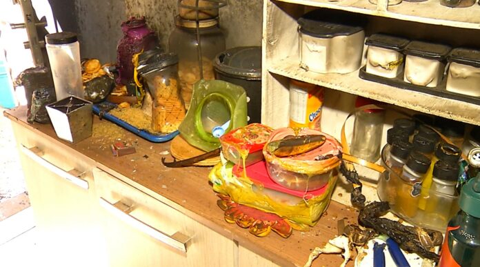 Captura de tela 2024-08-27 220829