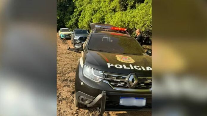 Foto: Divulgação / Polícia Civil
