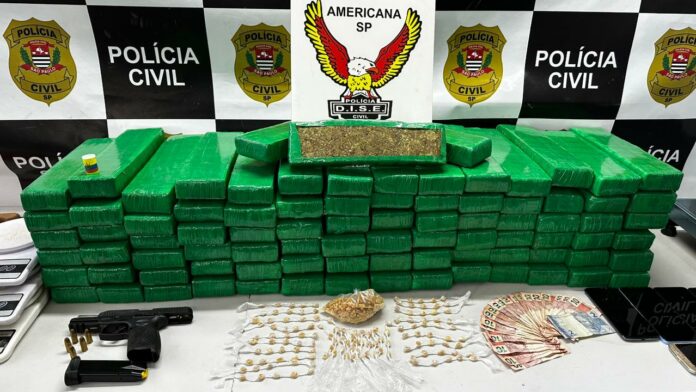 Polícia Civil encontra 89 quilos de maconha e prende 
