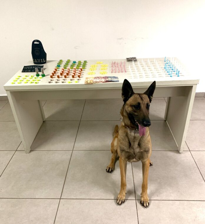 WhatsApp Image 2024-08-16 at 08.59.57 apreensão