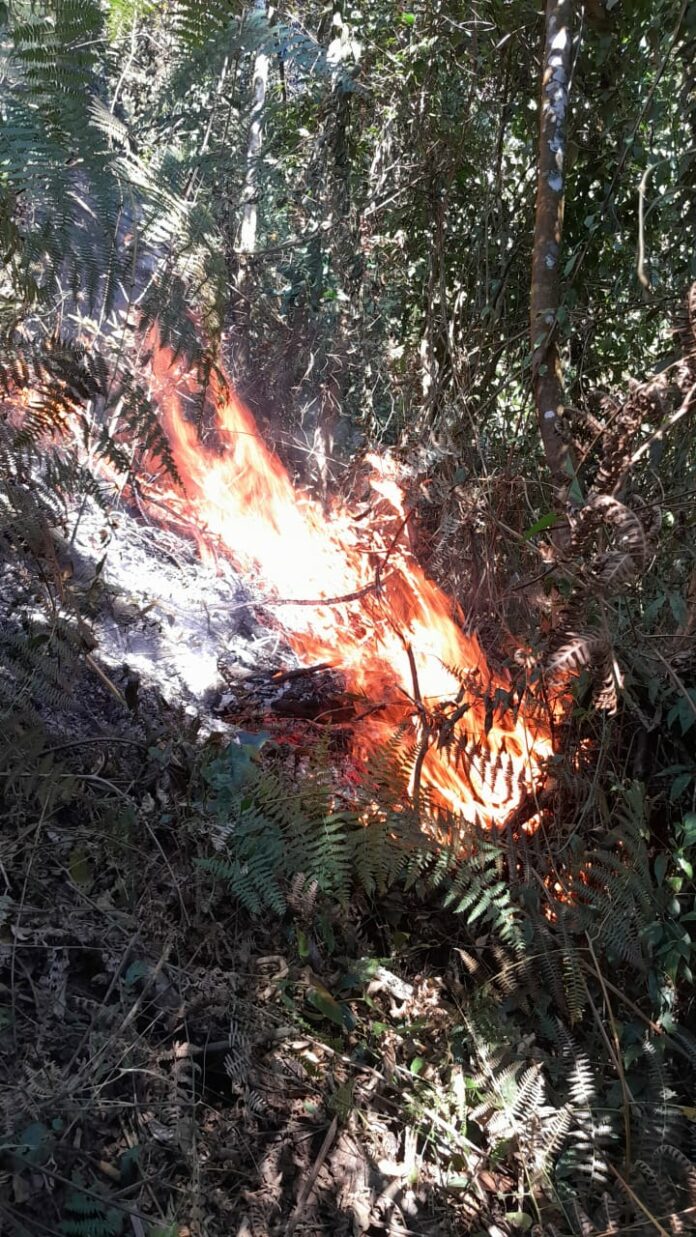 Incêndio de grandes proporções atinge área de vegetação em Bananal há três dias Incêndio de grandes proporções atinge área de vegetação em Bananal há três dias