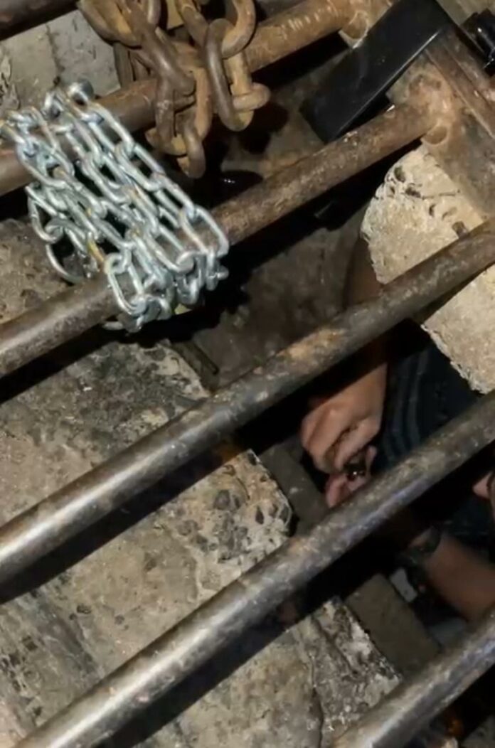 WhatsApp Image 2024-08-22 at 08.38.13