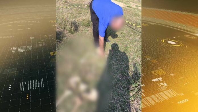 Ossada humana é encontrada em área rural em Elias Fausto Ossada humana é encontrada em área rural em Elias Fausto