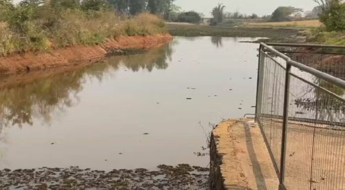 Foto: Reprodução / TV TEM